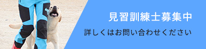 採用情報