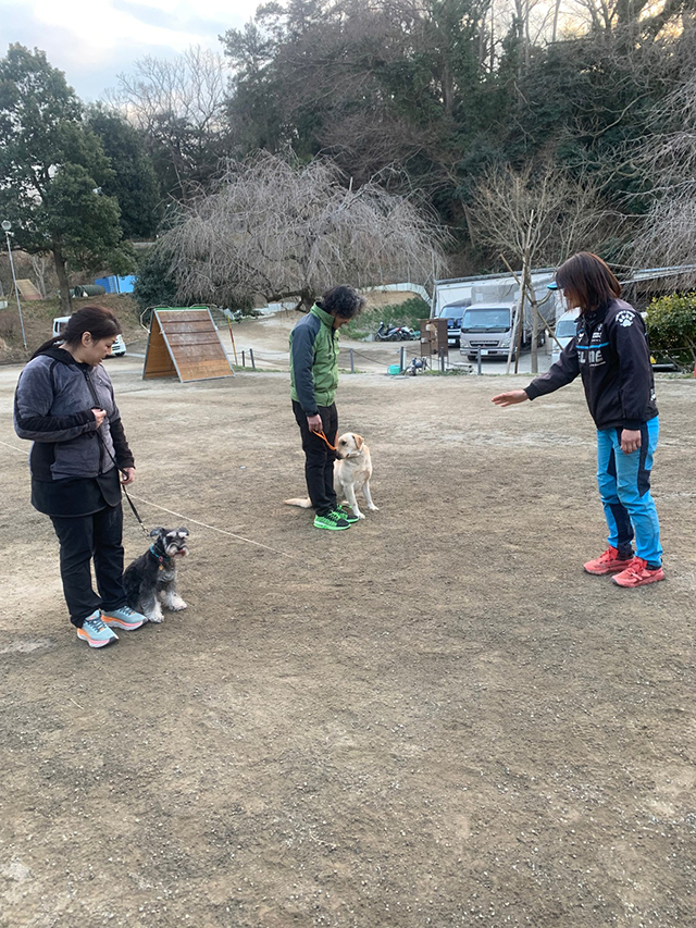 しつけ教室